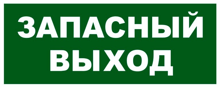Молния 12в ЛАЙТ "Запасный выход" в Уссурийске